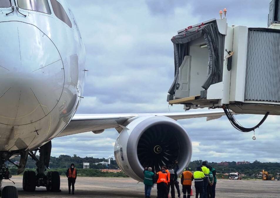 ’Los aeropuertos deberían de tener su protocolo para que las aves no ocupen la pista”, según experto en aves