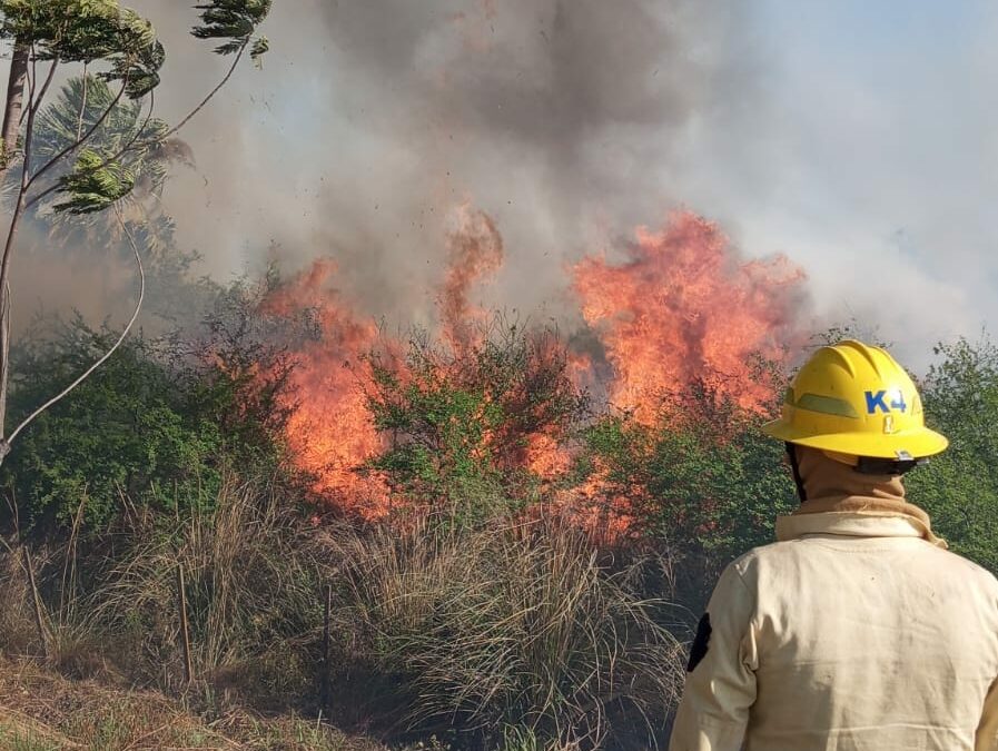 Petardos podrían haber reavivado incendios en ruta Luque-Sanber