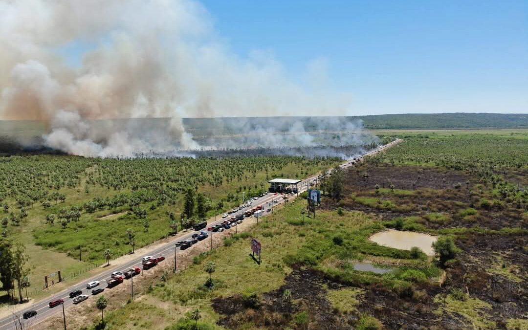 Incendios: recomiendan sistema de monitoreo con drones